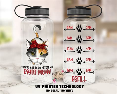 Cat Water Bottle Funny Water Bottle Cat Lover Gift - Etsy New Zealand