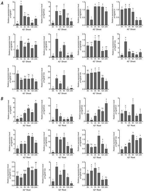 Genome-Wide Identification and Transcriptional Analysis of AP2/ERF Gene ...