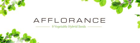 9 Vegetable Hybrid Seeds Combo Pack – Lady Finger, Red & Yellow ...