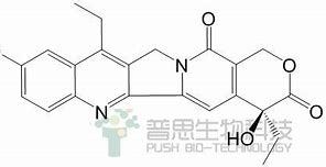 Image result for hydroxycamptothecin 羟基喜树碱生产厂家