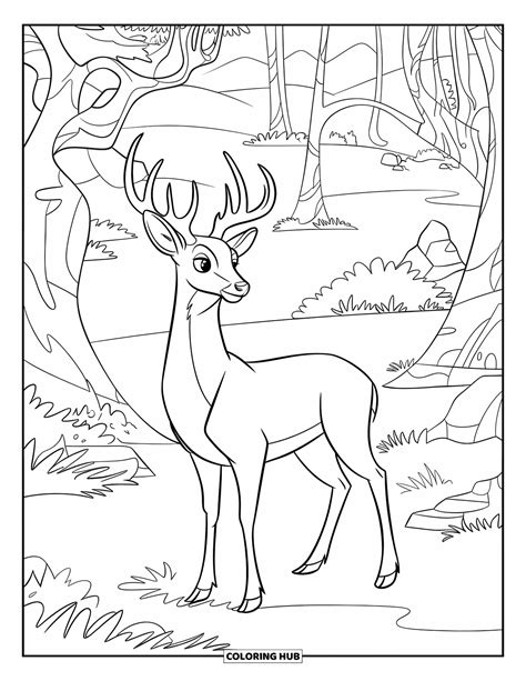 120+ Deer Coloring Pages for Kids & Adults (Free Printable PDFs)