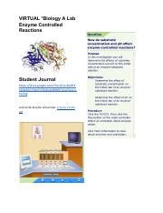 Image result for Enzyme-Controlled Reactions Virtual Lab