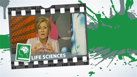 Image result for Human Reproduction YouTube