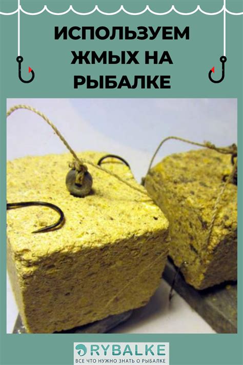 Жмых для рыбалки: какие бывают виды и как применять