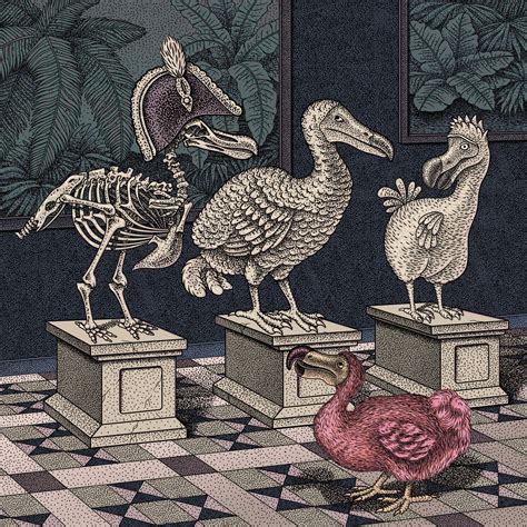 Extinction 的图像结果