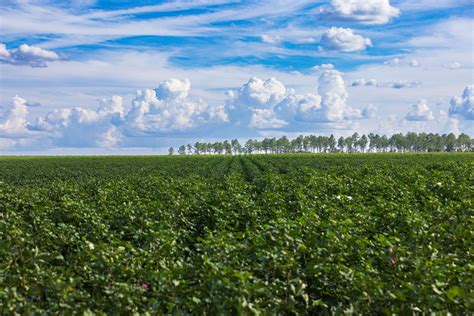 Image result for Decatur County