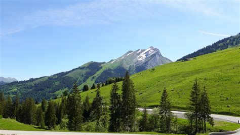 Download wallpaper 2560x1440 mountains, slope, trees, road widescreen ...