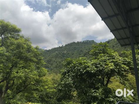 Plots Available in Thano for investment. - Lands & Plots - 1810259482