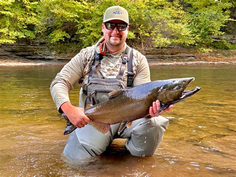 Local Expert Fishing Report: Salmon River NY September Fishing Report