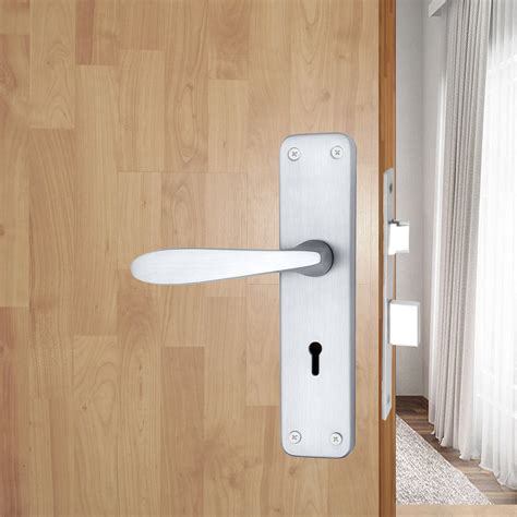 Iron Mortise Door Handle Set with Lock Body, Finish Brass Antique & CP ...