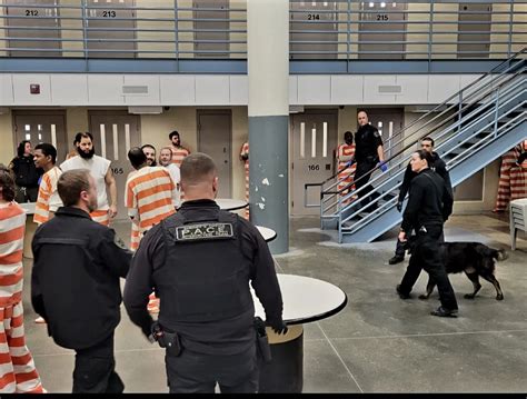 McLennan County Detention Center: A Detailed Inmate Search Manual ...