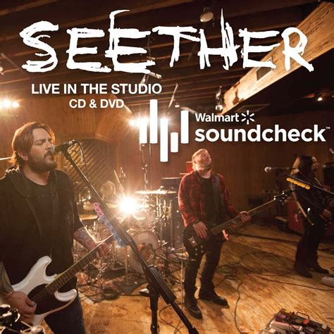 Image result for Seether CD