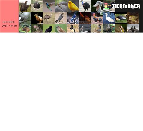 Image result for Libcamera Examples