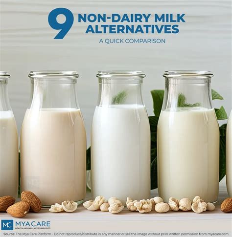 NON-DAIRY MILK SUBSTITUTES: EVERYTHING YOU NEED TO KNOW | Mya Care