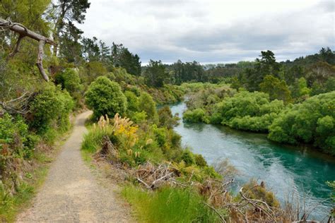 To Do in Hamilton & Waikato Region, New Zealand | TimesTravel