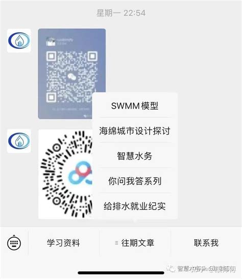SWMM Scale 的图像结果