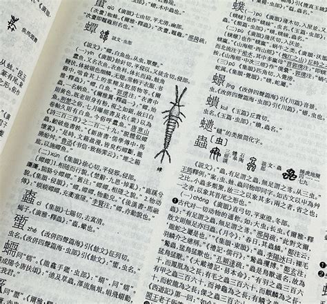 汉语大字典（第2版）_百度百科