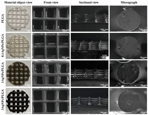 Antibacterial 3D-Printed Silver Nanoparticle/Poly Lactic-Co-Glycolic ...