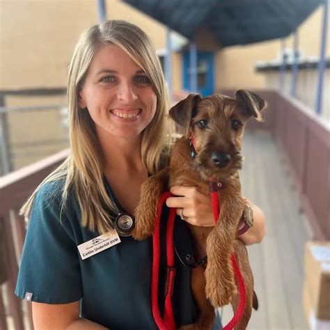 Silverado Veterinary Hospital Tour | Vet Clinic In Napa, CA
