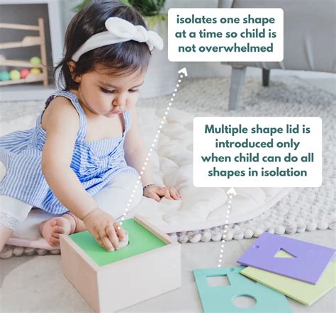 Curious Cub Montessori Learning Wooden Toys Box (Box 5: 9-12 Months)