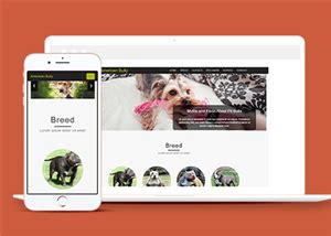 动物网站模板_动物网站模板免费下载_模板之家