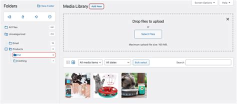 Image result for Categorizing Media Files Using Folder in WordPress