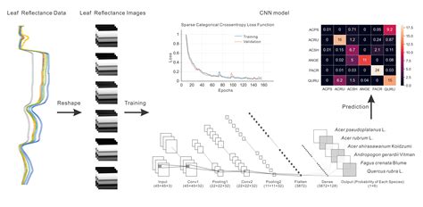 Reshaping Hyperspectral Data into a Two-Dimensional Image for a CNN ...