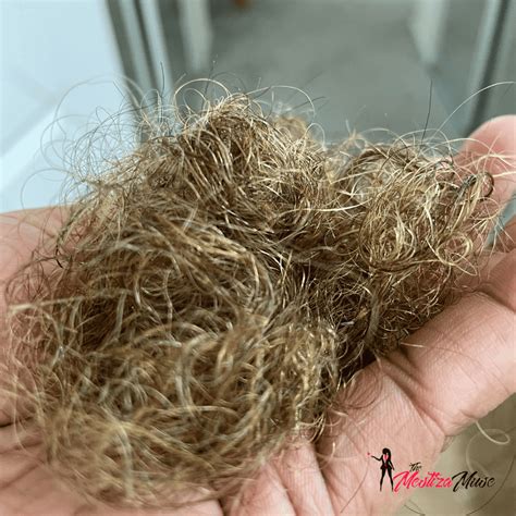 Understanding The Link Between Mold Exposure And Hair Health: My ...