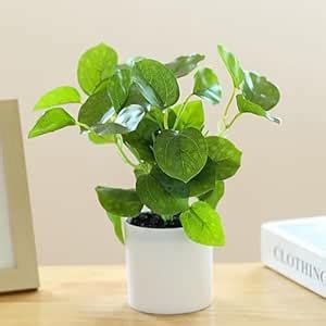 Buy UMAI Artificial Plant with Pot 22cm Height | 18 Leaves | Plastic ...