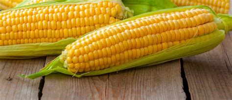 Is Sweet Corn Good for Diabetes? | GI and Benefits of Corn – Lets Moderate