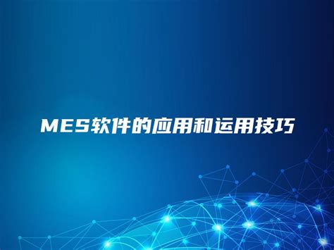 Mes Program 的图像结果