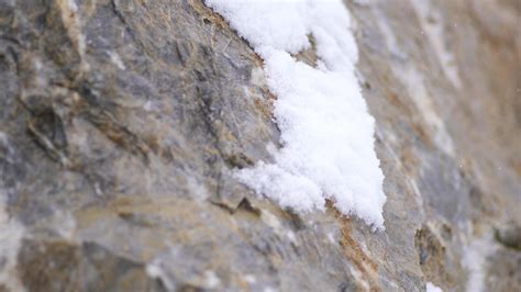Weathering Time-Lapse 的图像结果