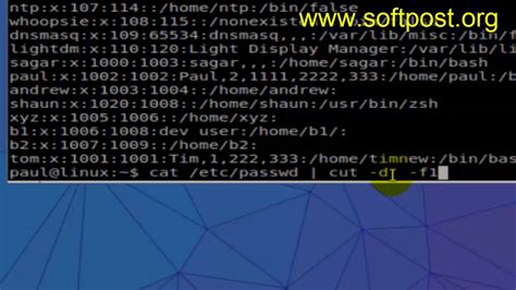 Image result for Cut Command in Linux Shell Script with Examples