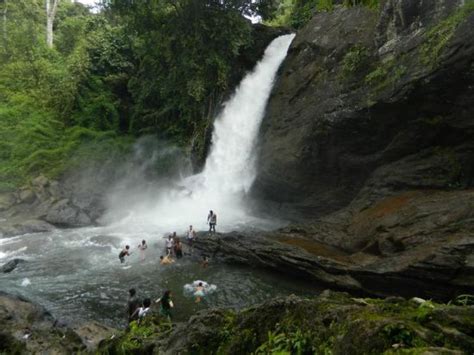 Soochipara Falls, wayanad, India - Top Attractions, Things to Do ...