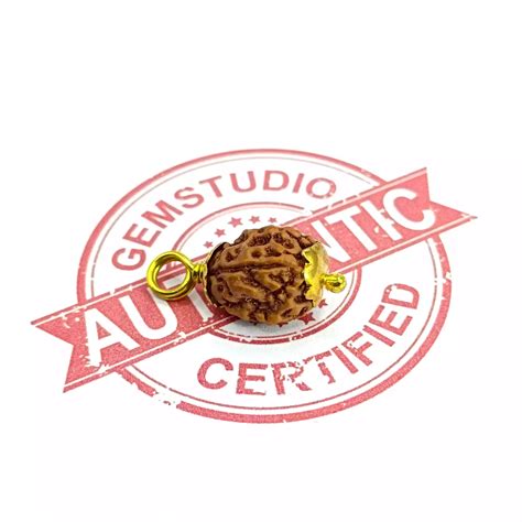 4 Mukhi Rudraksha – Indonesia – Gemobia