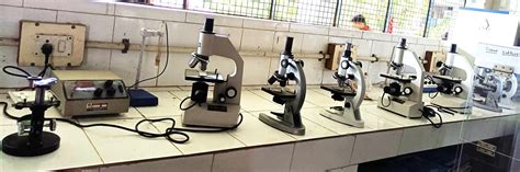 GOVT. LARANGSAI PG COLLEGE RAMANUJGANJ | Facilities- ZOOLOGY LAB