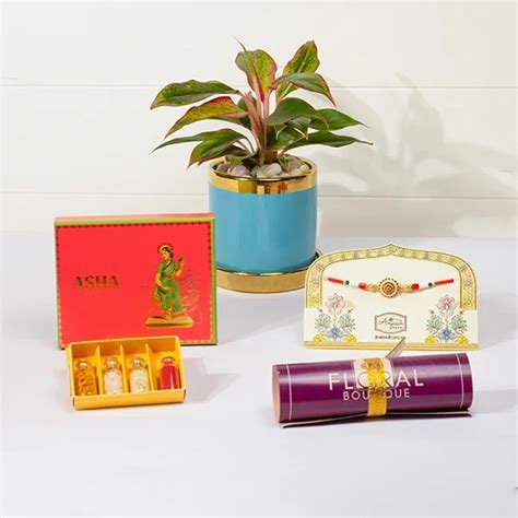 Ethnic Charm Rakhi, Asha Mix, Roli & Aglaonema Plant | Gift