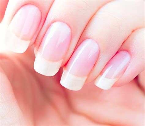 5 Perfect Nail Shapes and How to Achieve Them! - LivOliv Cosmetics