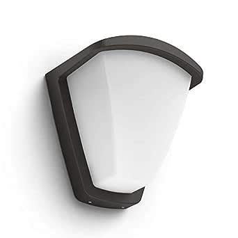 Philips 1738393PN 42-Watt Kiskadee Wall Lantern (Black) : Amazon.in ...