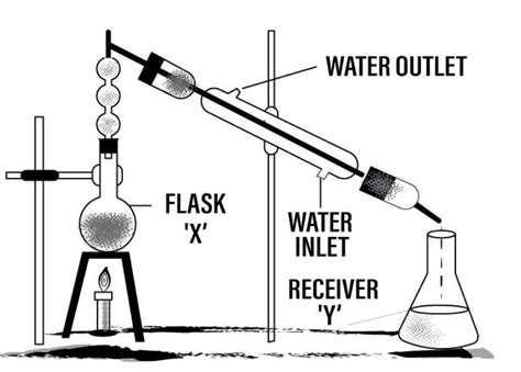 Draw a neat, labelled diagram of the apparatus used to separate alcohol ...