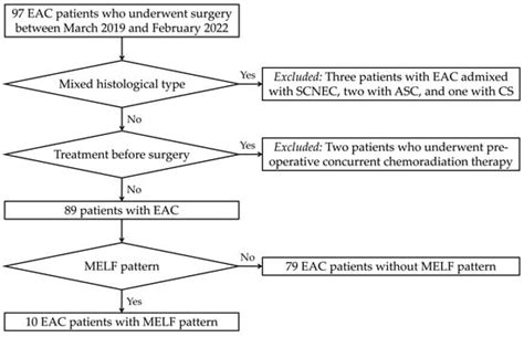 Endocervical Adenocarcinoma Showing Microcystic, Elongated, and ...