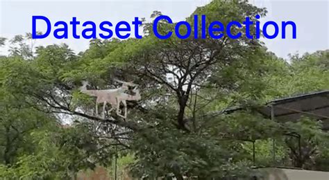 Drone Detection System | Niltech R&D Pvt. Ltd.
