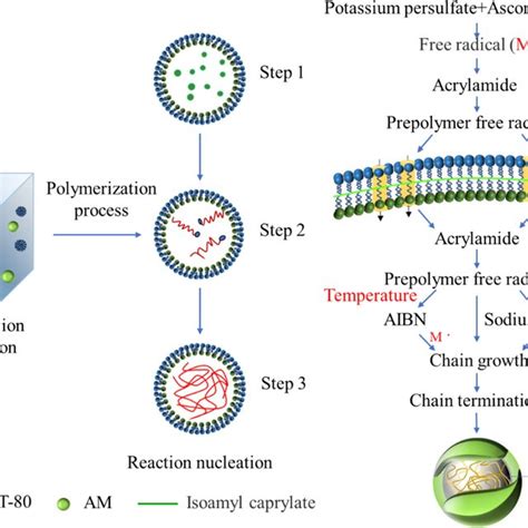 Image result for Emulsion Polymerization Mechanism