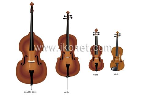 Image result for String Instruments Violin