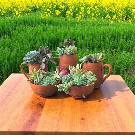 Buy Handmade Coffee Mug Set Terracotta Planter Pots | Set Of 5 Online ...