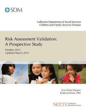 Fillable Online Risk Assessment Validation: Fax Email Print - pdfFiller