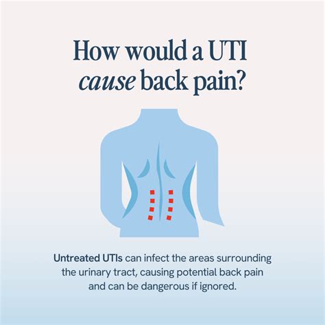 Learning Center | Understanding UTI Back Pain: Causes, Symptoms, and ...