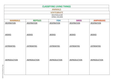 Image result for Classification Living Things Worksheet