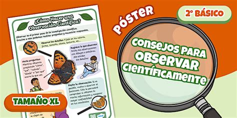 Póster | Observación Científica| Ciencias Naturales