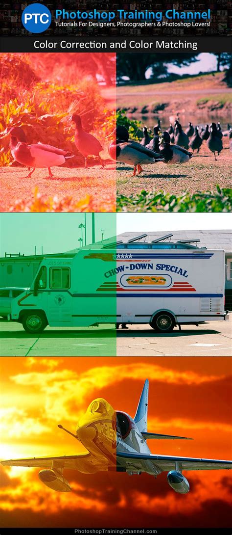 Image result for Corel Photoshop Tutorials